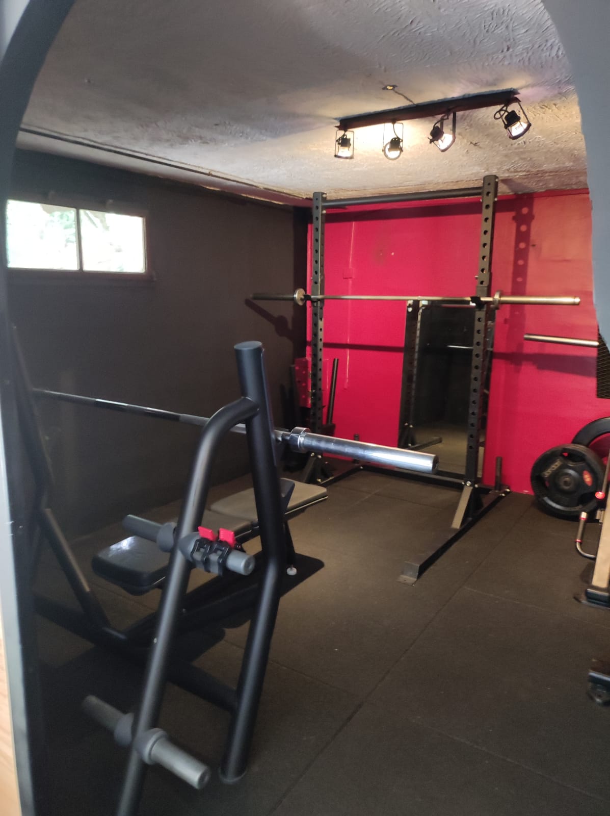 Home Gym Rack à squat et banc de développé couché
